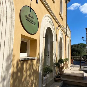 Couette-café Punti Di Vista, Bibbona